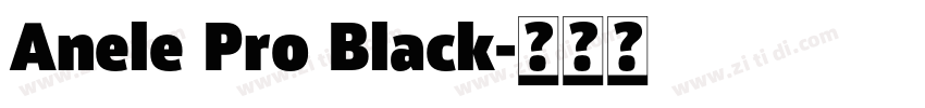 Anele Pro Black字体转换